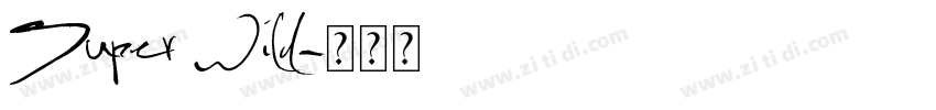 Super Wild字体转换